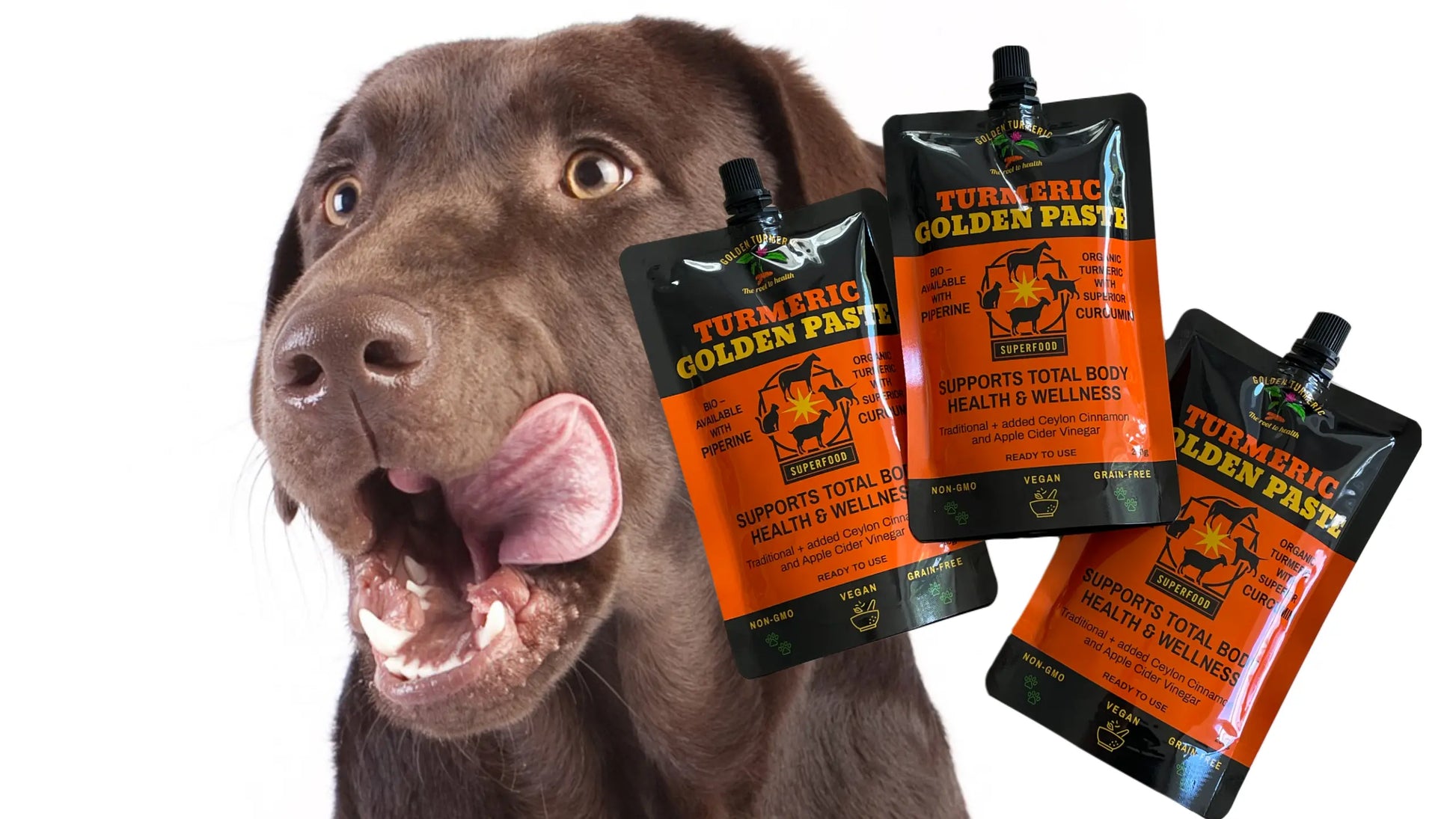 Turmeric paste for dogs, cats, horses and pets