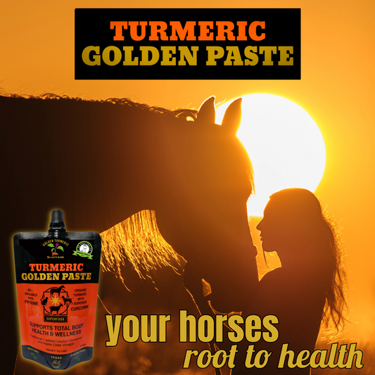 Turmeric Golden Paste for Horses